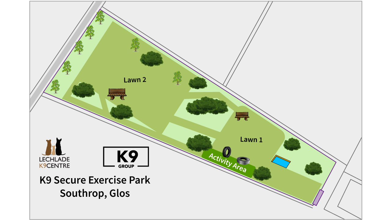Exercise Field