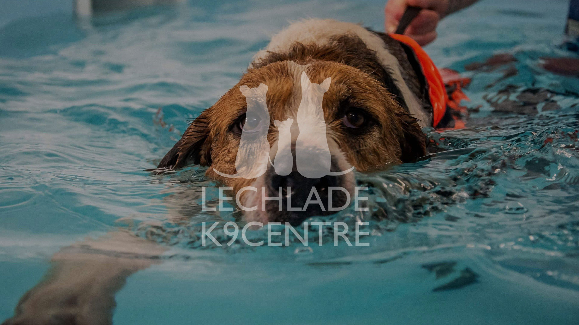 Lechlade K9 Centre