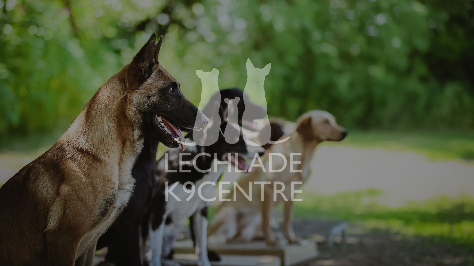 Lechlade K9 Centre