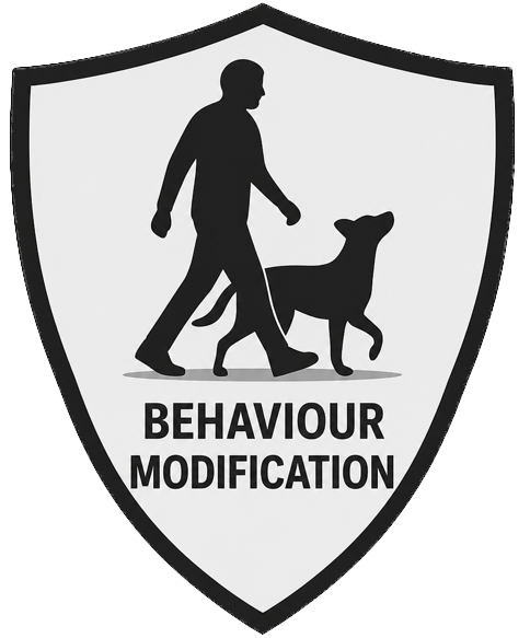 Behaviour Modification