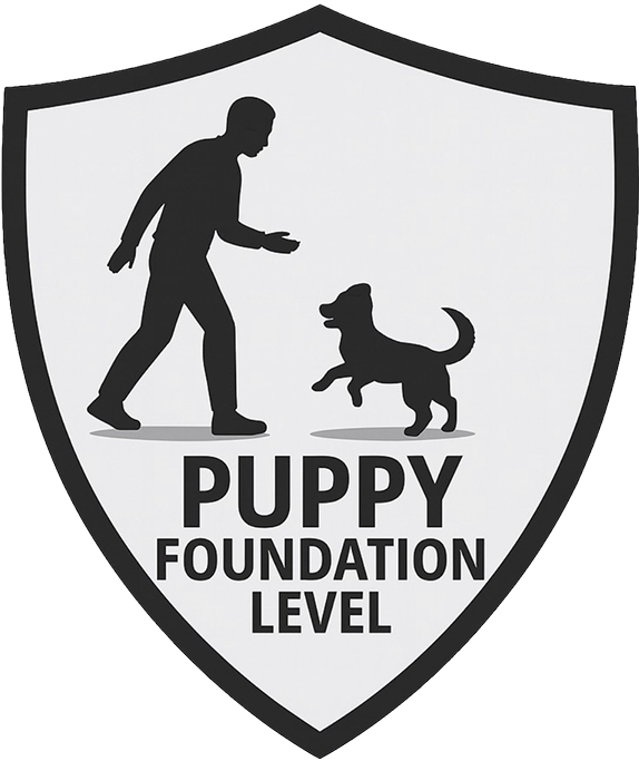 Foundation Puppy Class