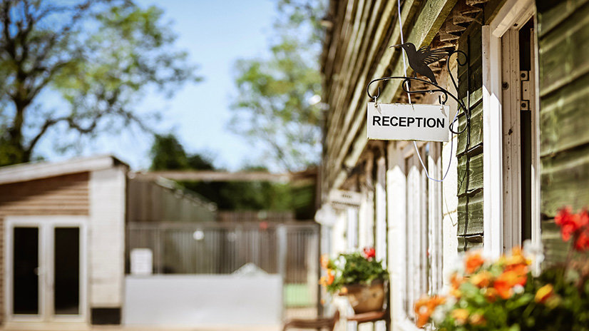 reception